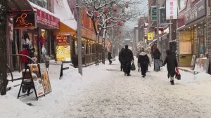 Монреаль под снегом❄️☃️