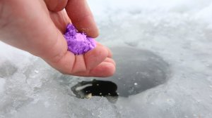 Уронили это в лунку через минуту подошли крупные ротаны! Как прикормить ротана на зимней рыбалке?