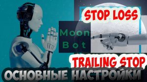 Moonbot. Обзор основных настроек