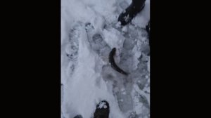 Поимки перед запуском