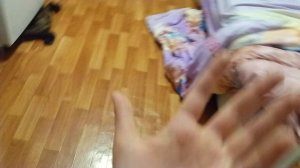 вечер с Реборн Агата и делаем гимнастику