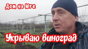 Дом на Юге. Укрываю виноград.