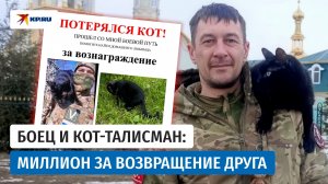 Ветеран СВО без ноги ищет кота, который прошёл с ним боевой путь