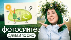 ФОТОСИНТЕЗ ДЛЯ ЕГЭ ПО БИОЛОГИИ 2026💚