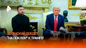 Зеленский собрался в США: что он хочет добиться на встрече с Трампом?