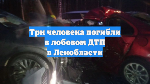 Три человека погибли в лобовом ДТП в Ленобласти