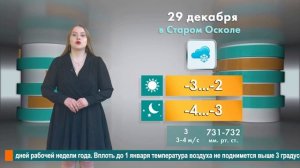 Погода в Старом Осколе на 29 декабря