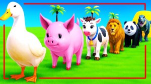 Мультики про диких животных. Яркие животные: гусь и свинка. Смотреть онлайн Мультики для детей.