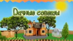 Дачные советы Галины Старосельцевой Декабрь 25-2025