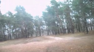 Если б я был богат, то под Новый Год!