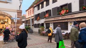 Почему Страсбург считают столицей Рождества зимняя прогулка 🎄✨