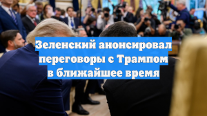 Зеленский анонсировал переговоры с Трампом в ближайшее время
