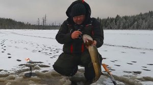 Рыбалка в Карелии. За щукой по первому льду.