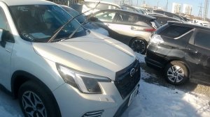 Авторынок Зеленый угол перед новым годом-что есть?Цены.