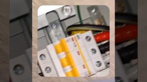 1000043556.mp4 (Собака слушает о протяжке болтовых соединений в водном электрощите в гараже у дома)