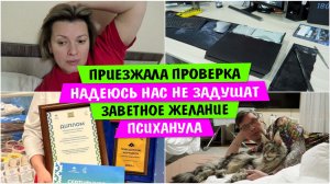 ПРИЕЗЖАЛА ПРОВЕРКА / Надеюсь нас НЕ ЗАДУШАТ / ЗАВЕТНОЕ ЖЕЛАНИЕ / ПСИХАНУЛА / РАЗОБРАЛ PlayStation 4