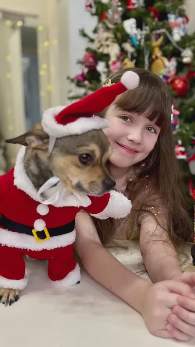 #подновыйгод смотреть онлайн