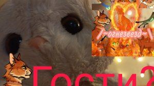 У нас гости незваный гость?