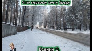 Стихи о зиме/Сергей Есенин/