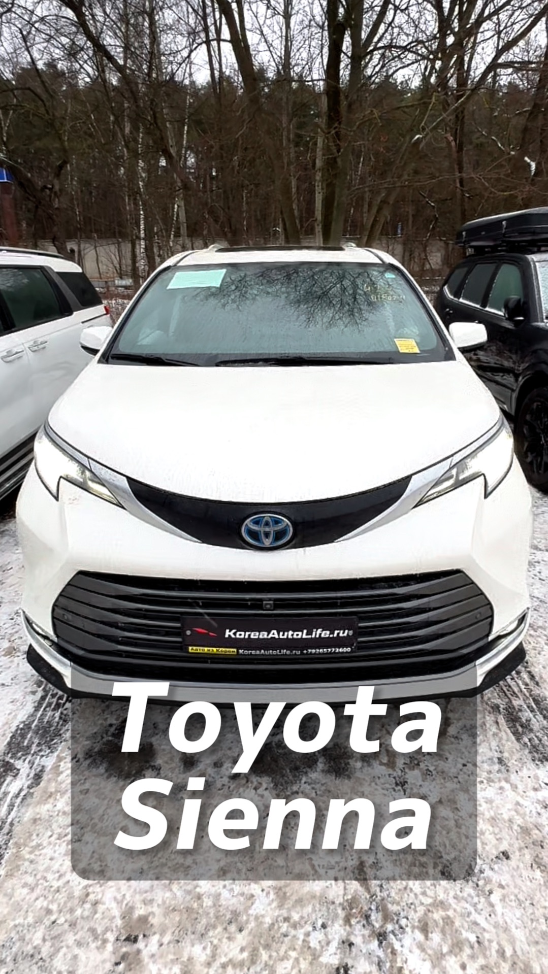 Toyota Sienna 2,5 Hybrid AWD на заказ из Кореи смотреть онлайн
