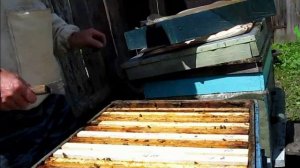 Развитие слабого отводка месяц спустя. Часть 5