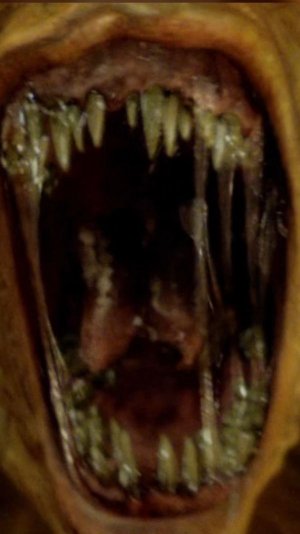 Демоны обитают в аду да? скажите это им...