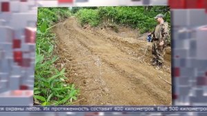 25.12.2025 Дайджест