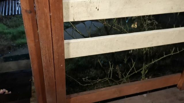 СОЧИ ГОРНОЕ ЛОО УТРО 26.12.2025 смотреть онлайн