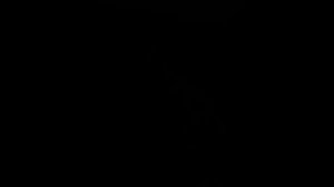 Песни ИИ. |Вольная река. |