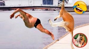 Приколы с Животными🔥😂Приколы 2025Смешное Видео Смешные животные