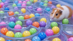 МУЛЬТИКИ ДЛЯ ДЕТЕЙ | МУЛЬТФИЛЬМЫ ДЕТЯМ