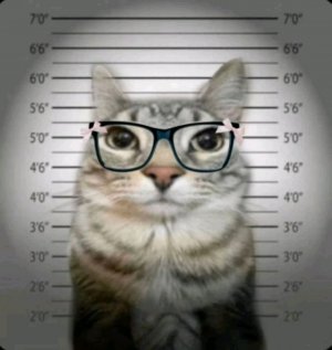 что? я не чего не делала