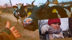 Жизнь в деревне.Приятный подарок.