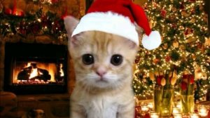 Играю в новогоднию обнову в Standoff 2