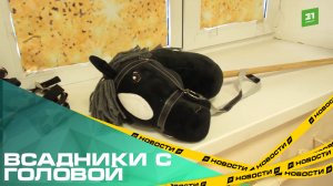 Всадники с головой. Челябинцы массово скупают лошадиные головы на палке