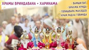 ⭐️ВАМШИ ВАТ - ГОПИШВАР МАХАДЕВ - БРАХМА КУНДА - ГОВИНДАДЖИ. Парикрама. 2025.10.07