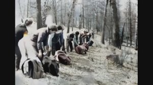 Оживляем фотографии с помощью Алисы ИИ