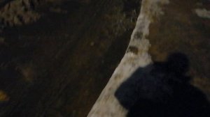 26.12.2025.Ляховский край.Усадьба Парк Кинематографа Ляхово. Парк Сибирских Кошек.Визитная карточка