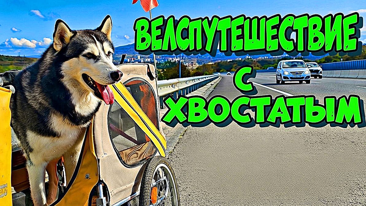 Никогда не бери ХАСКИ в велопоход!  А я взял и вот ЧТО ВЫШЛО. День 2-й