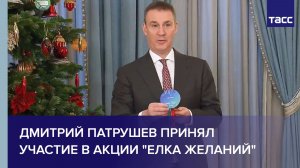 Дмитрий Патрушев принял участие в акции "Елка желаний"