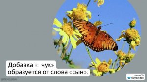 Фамилия Алексейчук: происхождение и история, значение и склонение - все, что нужно знать!