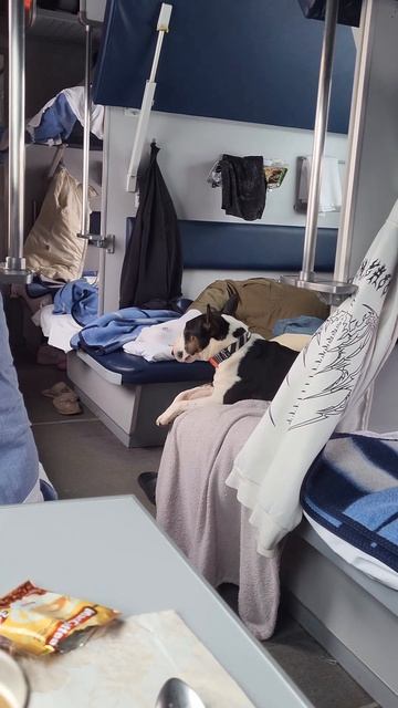 На поезде в Абхазию! смотреть онлайн