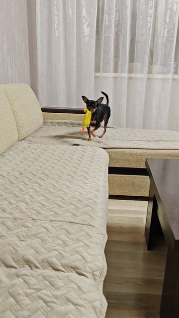 Тихо с сам собою я играю, ни кому не мешаю. смотреть онлайн