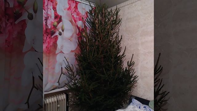 ПОД МОИМ ЧУТКИМ РУКОВОДСТВОМ ! смотреть онлайн