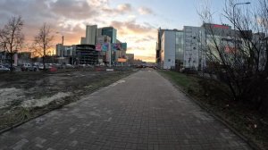 моноколесо "СОТКА" (Виктор) GX010877