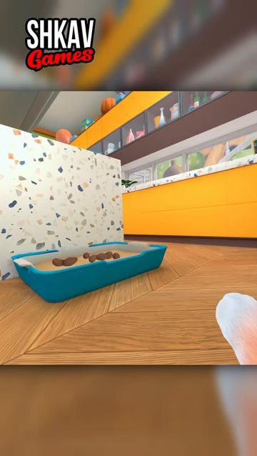 ПОГУГЛИМ! #iamcat #vr #кот смотреть онлайн