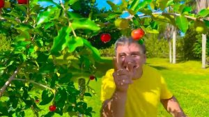 Настя на экскурсии в Уорнер Бразерс