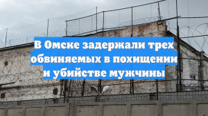 В Омске задержали трех обвиняемых в похищении и убийстве мужчины