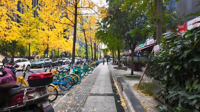 🇨🇳 Чэнду, Китай - осенняя прогулка по центральному району самого пригодного для жизни города Китая смотреть онлайн