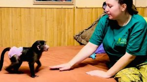 Анфисе не нравится Финик прочно обосновался на шее у Алины, она ждёт Дениса, чтобы пожаловаться)))